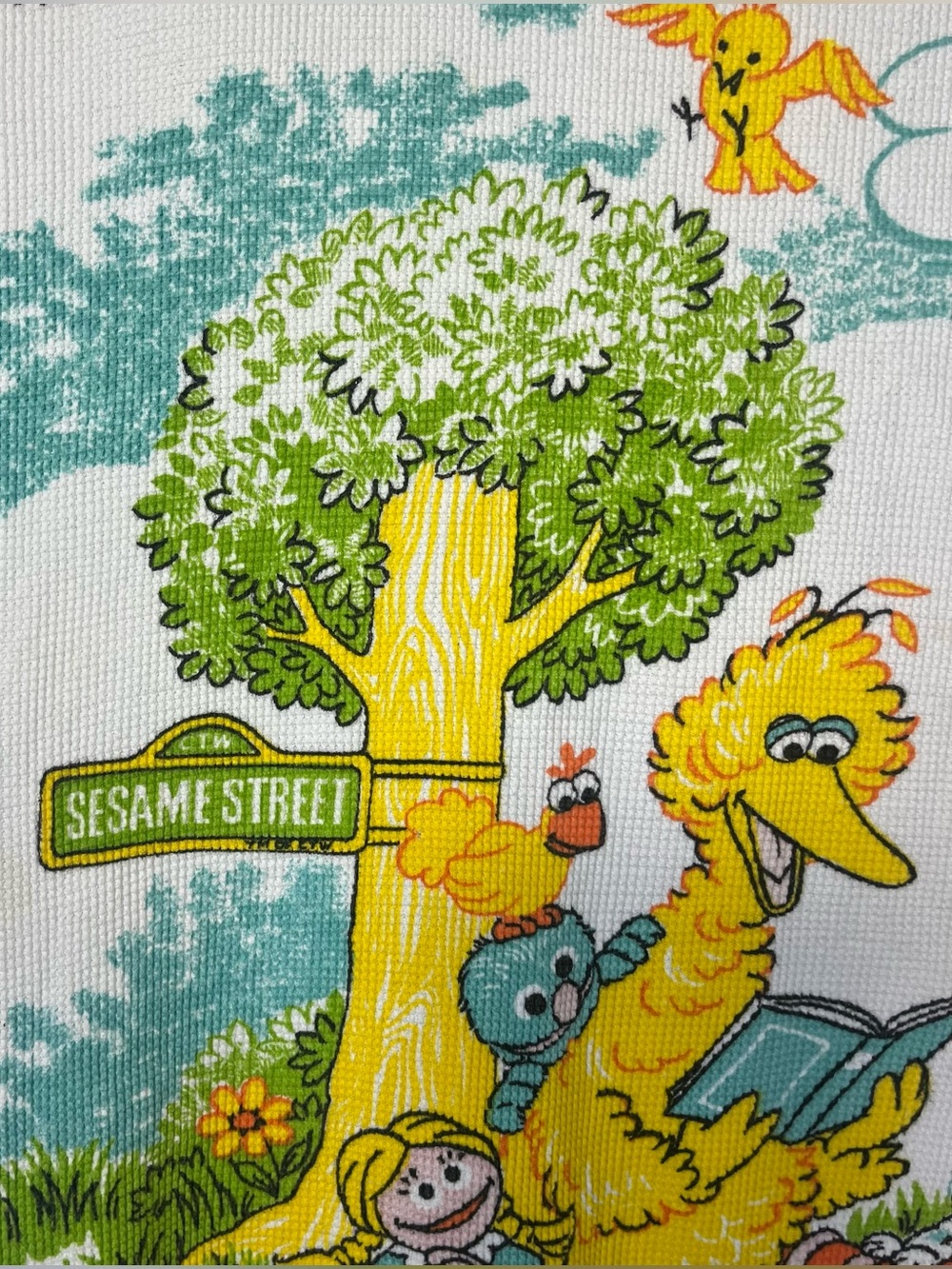 Vintage Sesame Street Baby Blanket Waffle Thermal Ruffle Muppets Inc Big Bird